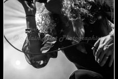 IMG_0462