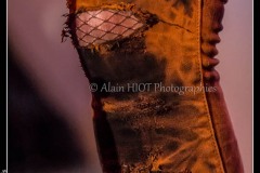 MG_0247