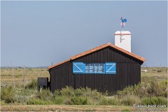 H62A7550