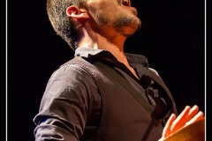 olivier-gotti-blues-sur-seine_8309911287_o