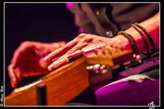 olivier-gotti-blues-sur-seine_8311035622_o