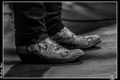 IMG_7009