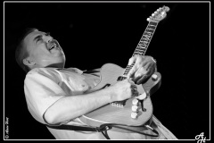 mark-hummel-the-blues-survivors-scne-jean-roger-caussimon_7210213154_o