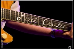 mark-hummel-the-blues-survivors-scne-jean-roger-caussimon_7210220712_o