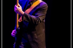 mark-hummel-the-blues-survivors-scne-jean-roger-caussimon_7210222566_o