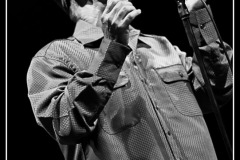 mark-hummel-the-blues-survivors-scne-jean-roger-caussimon_7210224938_o