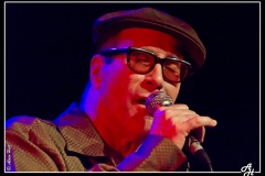 mark-hummel-the-blues-survivors-scne-jean-roger-caussimon_7210228796_o