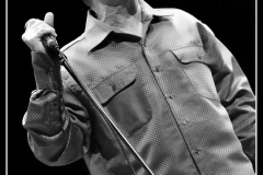 mark-hummel-the-blues-survivors-scne-jean-roger-caussimon_7210244734_o