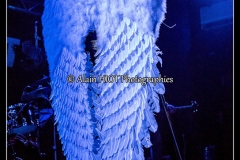 in-volt-guest-manu-lanvin-new-morning_15687067646_o
