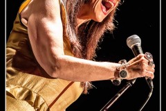 candye-kane-blues-sur-seine_8315488700_o