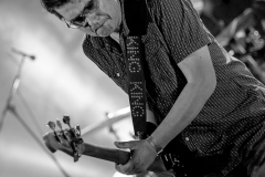 king-king-bagnols-blues-festival_15302402759_o