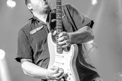 king-king-bagnols-blues-festival_15302506289_o