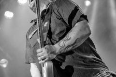 king-king-bagnols-blues-festival_15302709060_o