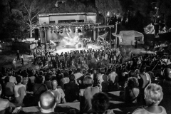 king-king-bagnols-blues-festival_15489379815_o
