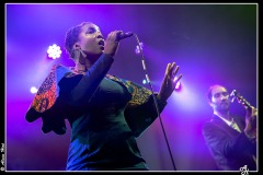 licia-chery-le-forum-vaural_8461837794_o