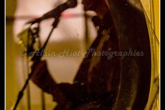 IMG_3934