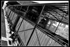 IMG_3347