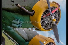MG_1270
