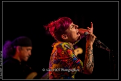 alexx-the-mooonshiners-festival-blues-availles_18295377364_o