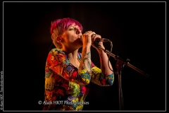 alexx-the-mooonshiners-festival-blues-availles_18295670394_o