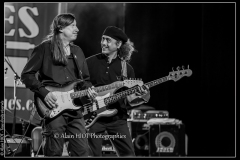 alexx-the-mooonshiners-festival-blues-availles_18730196038_o