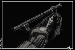 IMG_4651