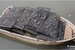 8Q1B3137