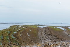 pano-oleron