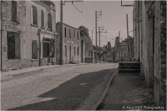 01-8Q1B2699