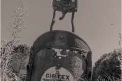 8Q1B2729