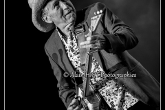 jerome-pietri-festival-blues-availles_18277643753_o