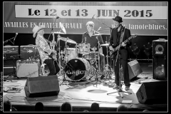jerome-pietri-festival-blues-availles_18711390259_o