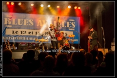 jerome-pietri-festival-blues-availles_18891856562_o