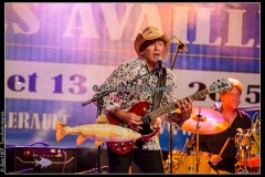 jerome-pietri-festival-blues-availles_18897294085_o