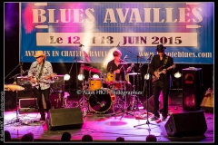 jerome-pietri-festival-blues-availles_18897608225_o