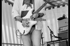 red-beans-pepper-sauce-festival-blues-availles_18890514786_o