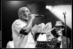 hommage-a-la-route-du-blues-cahors-blues-festival_14606019878_o