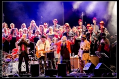 hommage-a-la-route-du-blues-cahors-blues-festival_14606180018_o