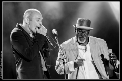 hommage-a-la-route-du-blues-cahors-blues-festival_14606480549_o