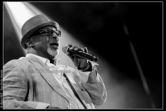 hommage-a-la-route-du-blues-cahors-blues-festival_14606500789_o