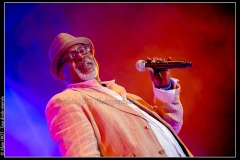 hommage-a-la-route-du-blues-cahors-blues-festival_14606516259_o