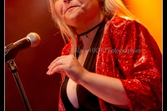 hommage-a-la-route-du-blues-cahors-blues-festival_14606587228_o