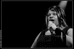 hommage-a-la-route-du-blues-cahors-blues-festival_14606604478_o