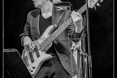 hommage-a-la-route-du-blues-cahors-blues-festival_14606677198_o