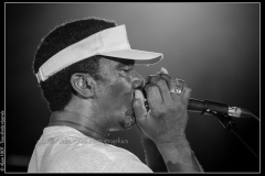 hommage-a-la-route-du-blues-cahors-blues-festival_14606778937_o