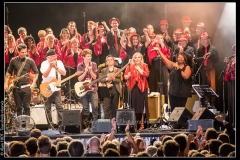 hommage-a-la-route-du-blues-cahors-blues-festival_14769702626_o