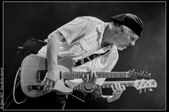 hommage-a-la-route-du-blues-cahors-blues-festival_14769923456_o