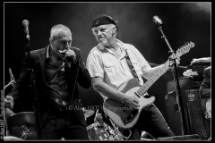 hommage-a-la-route-du-blues-cahors-blues-festival_14769972086_o