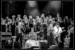 hommage-a-la-route-du-blues-cahors-blues-festival_14789715201_o