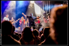 hommage-a-la-route-du-blues-cahors-blues-festival_14789741701_o